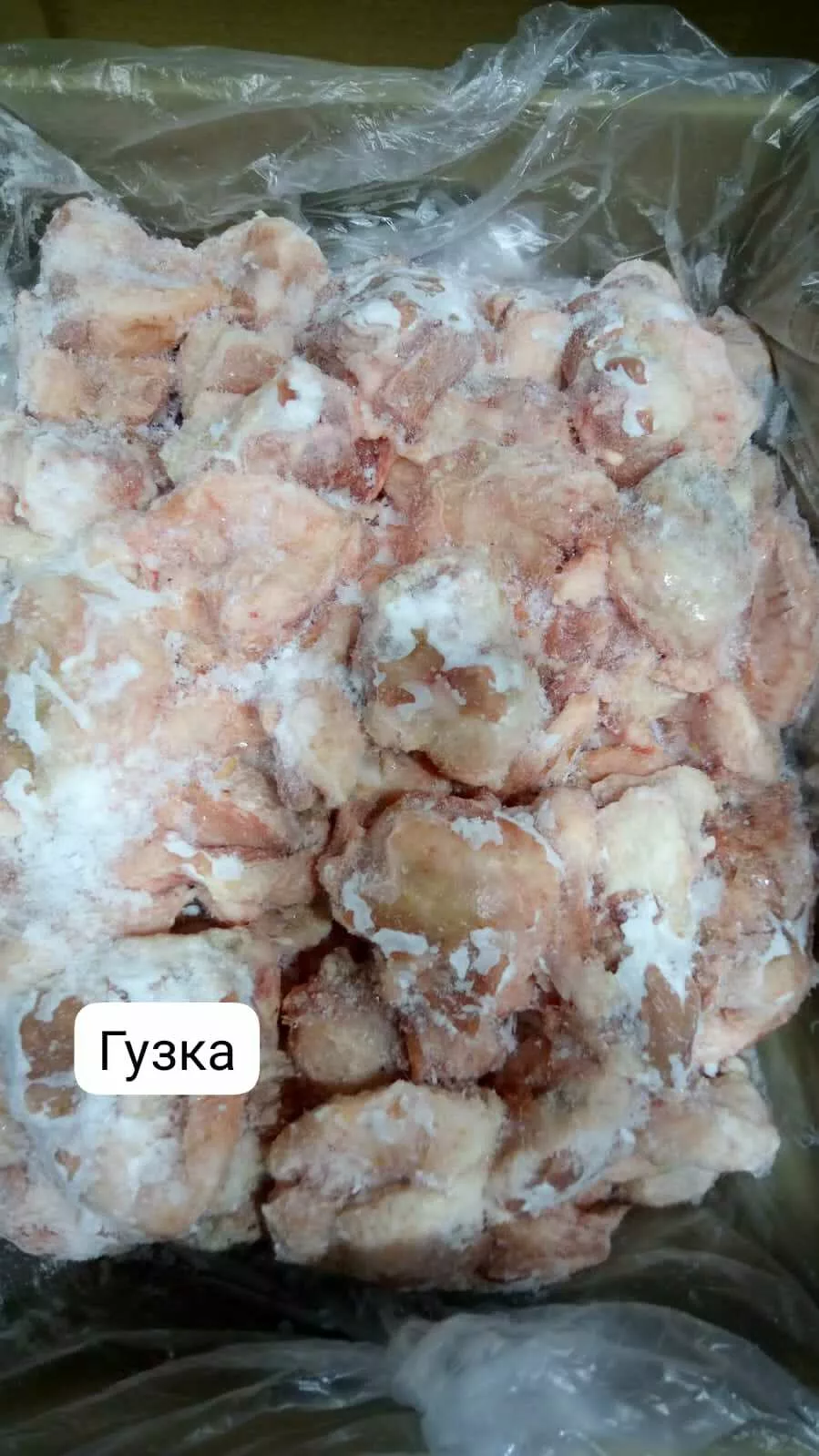 гузка замороженная одна тонна  (монолит) в Назрани и Республике Ингушетия